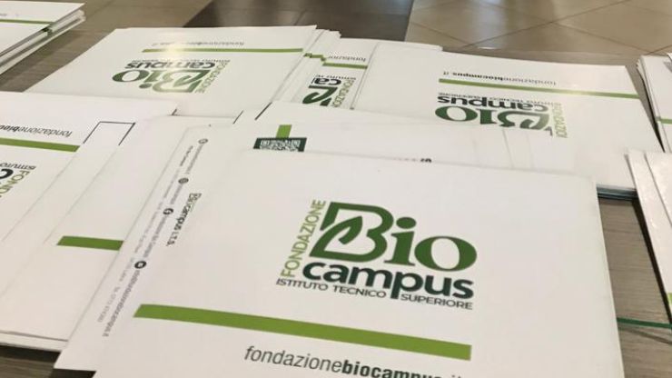 Graduatoria Borse di studio ITS 2025-2027